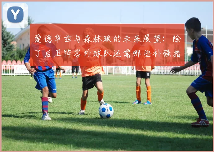 爱德华兹与森林狼的未来展望：除了后卫阵容外球队还需哪些补强措施