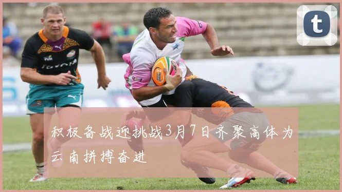 积极备战迎挑战3月7日齐聚高体为云南拼搏奋进