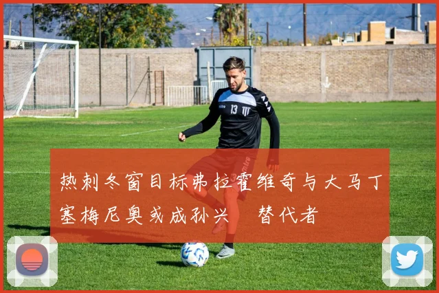 热刺冬窗目标弗拉霍维奇与大马丁塞梅尼奥或成孙兴慜替代者