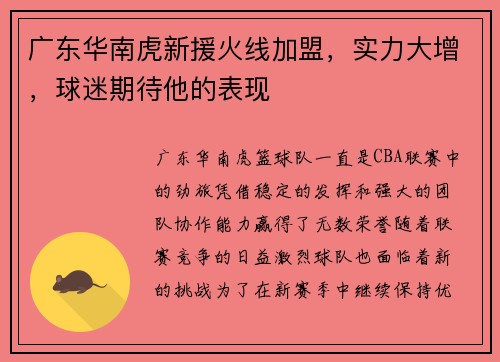 广东华南虎新援火线加盟，实力大增，球迷期待他的表现