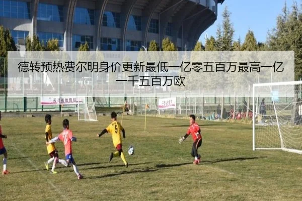 德转预热费尔明身价更新最低一亿零五百万最高一亿一千五百万欧 - leyu